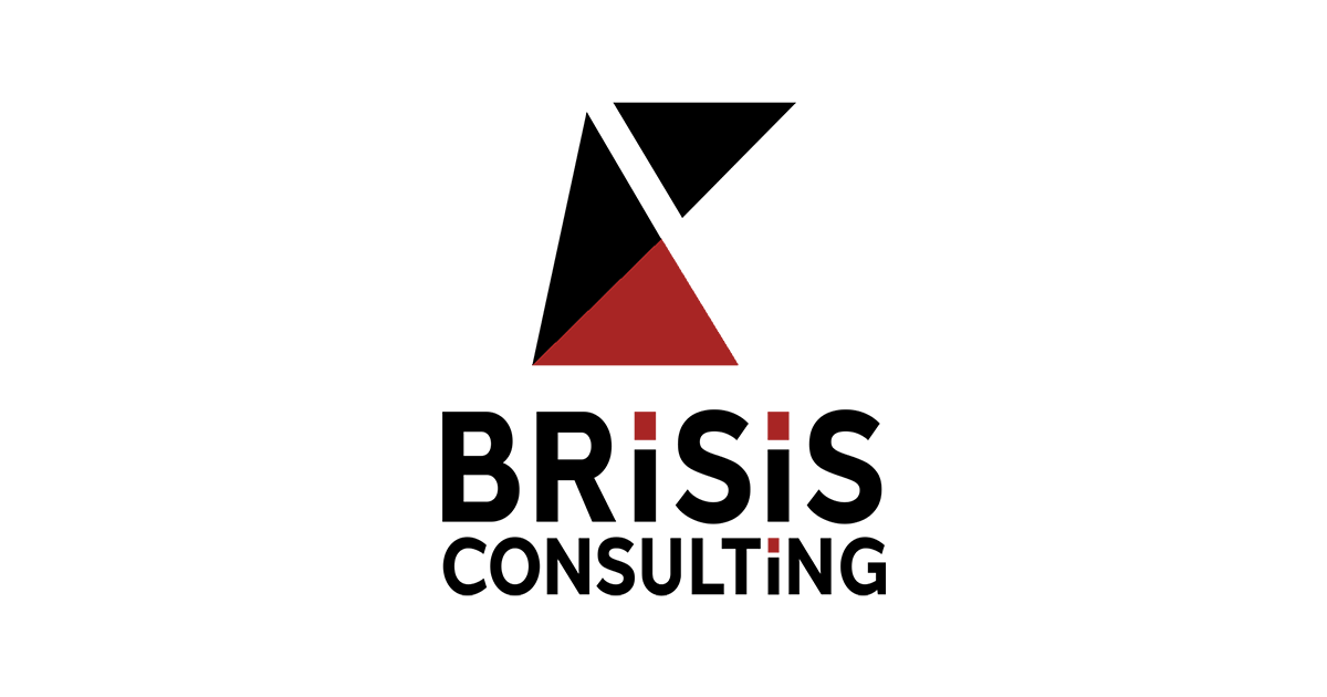 【企業分析】一分でわかるブライシスコンサルティング【年収・評価・選考】